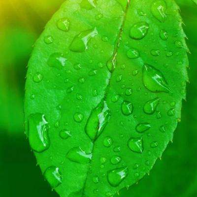 幻想仙侣手游百度版下载