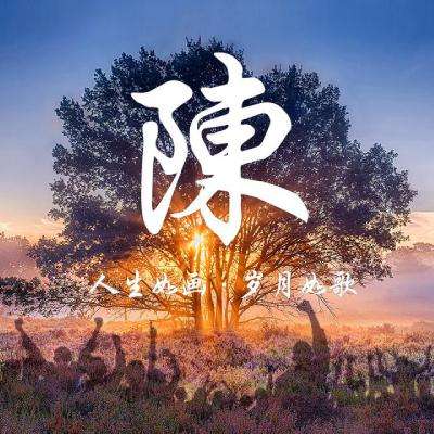 最后一鸡破解版下载